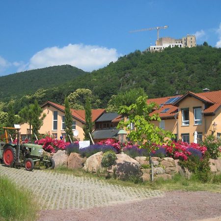 Weinhaus Paradies Neustadt an der Weinstrasse Exterior photo
